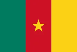 250px-Flag_of_Cameroon.svg1_